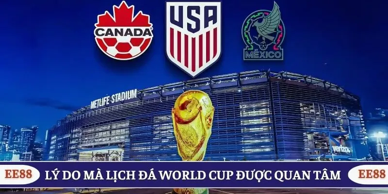 Lý do nên update lịch đá World Cup trên nền tảng theo giờ Việt Nam